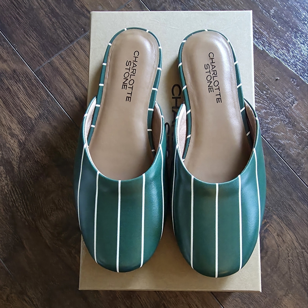 Charlotte Stone Green Striped Women's Shoes